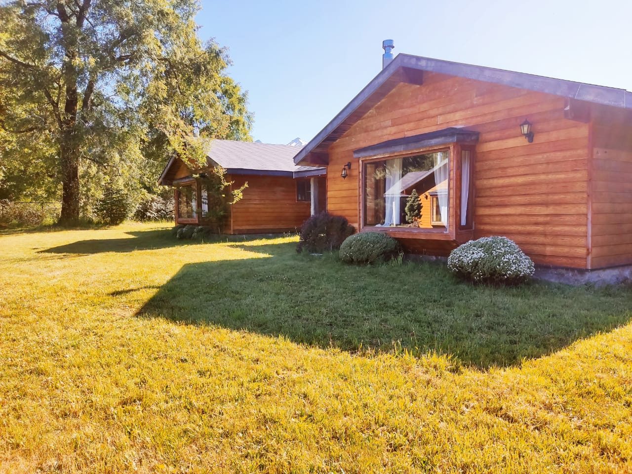 Cabañas de madera sobre pasto verde al sol